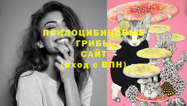 прущий лед Бронницы