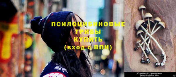 прущий лед Бронницы