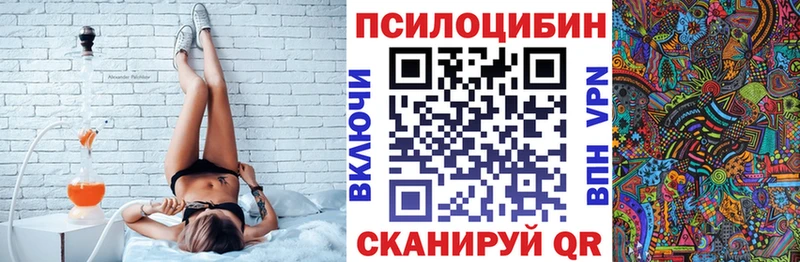 Псилоцибиновые грибы прущие грибы  хочу   Тула 